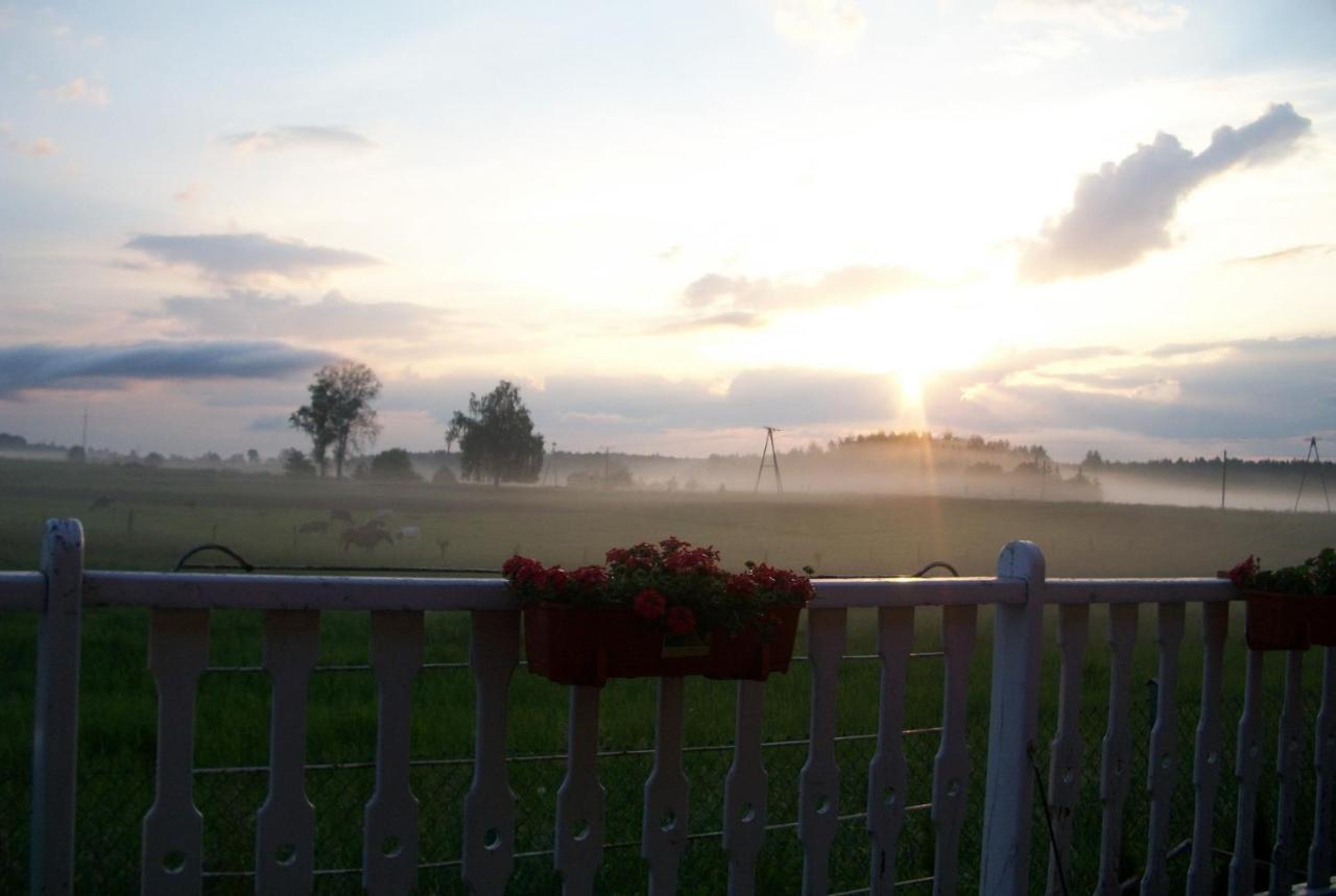 ビドミニ Sloneczna Weranda Bed & Breakfast エクステリア 写真