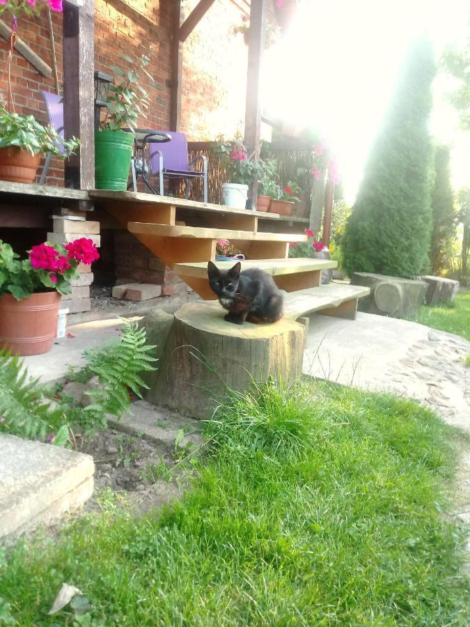 ビドミニ Sloneczna Weranda Bed & Breakfast エクステリア 写真